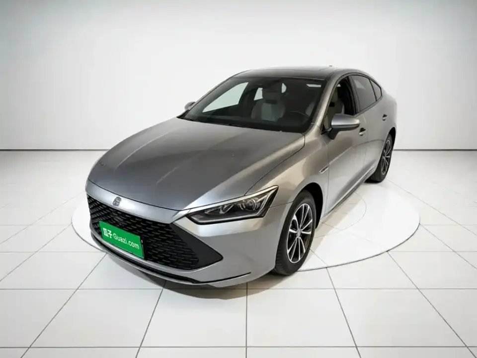 BYD Qin PLUS Glory Edition DM-i 55KM Leading 2024