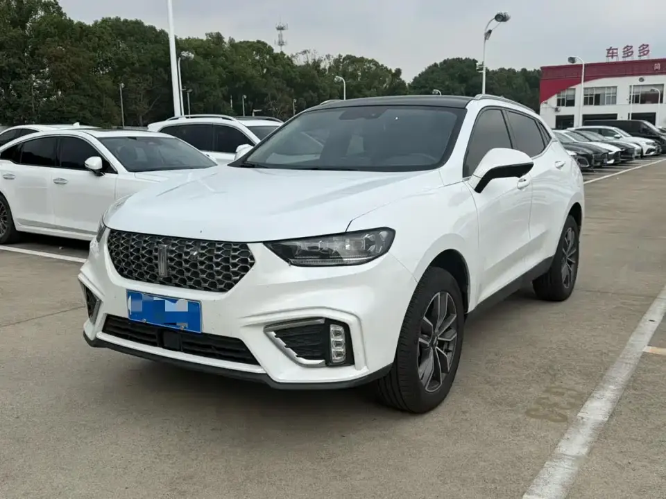 Wey VV5 1.5T 2WD Smart Pioneer 2021