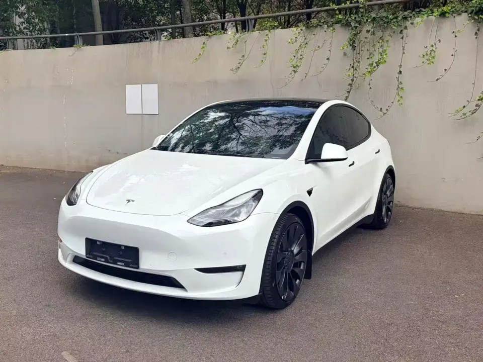Tesla Model Y Performance High-Performance All-Wheel Drive Version 2022