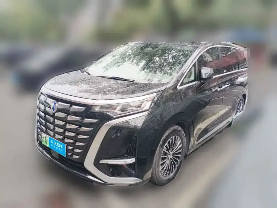 Denza D9 DM-i 970 All-Wheel Drive Honor Edition 2024