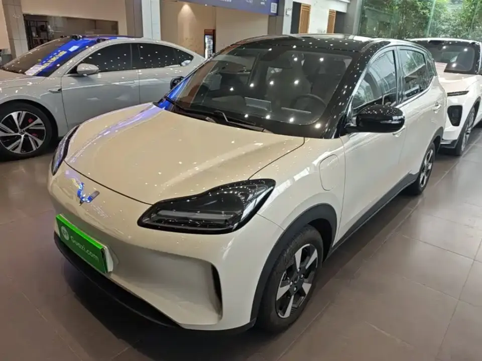 Wuling Motors Wuling Binguo PLUS Model 330km 5-Seater 2024