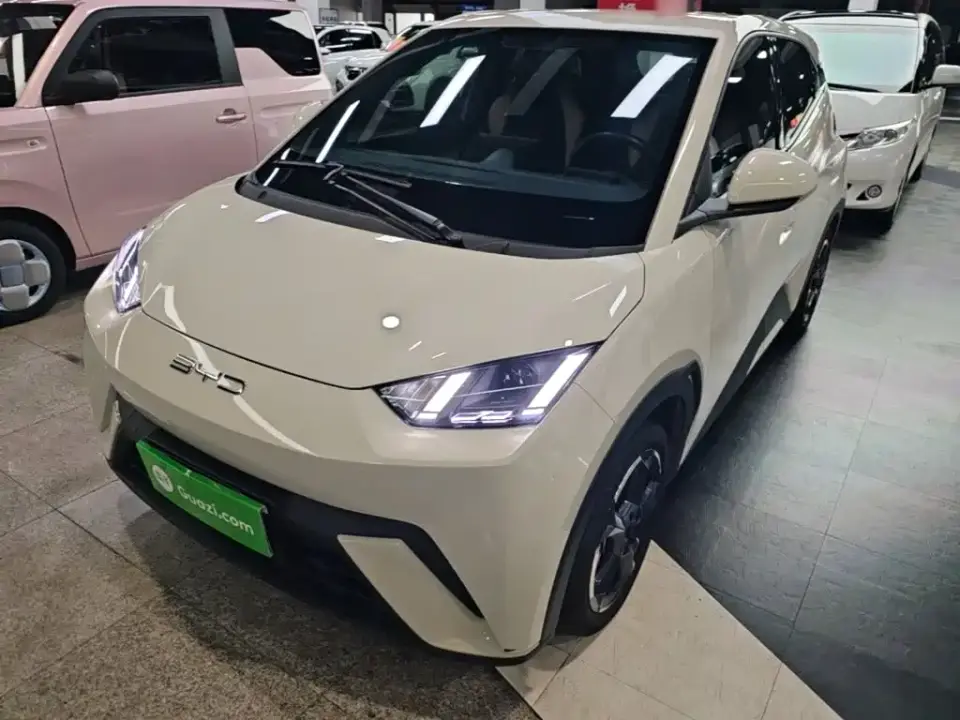 BYD Seagull Freedom Edition 2023