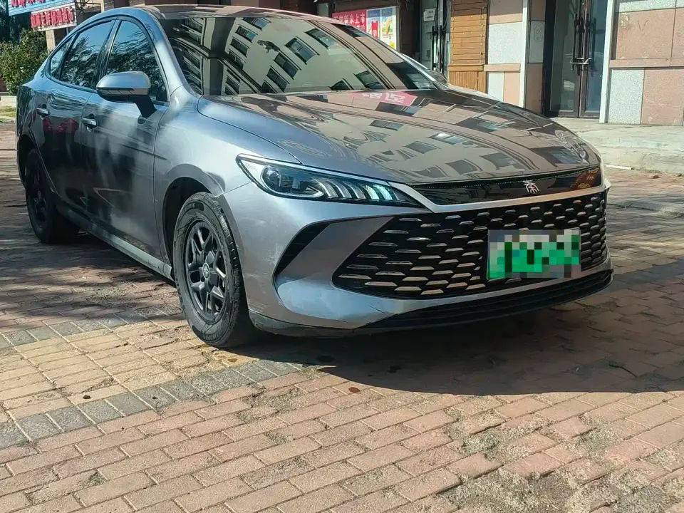 BYD Qin PLUS DM-i Smart Drive 55KM Leader 2025
