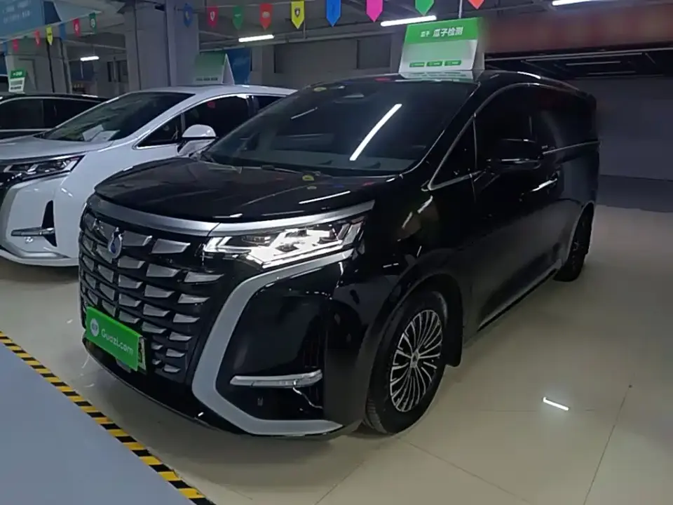 Denza D9 DM-i 970 All-Wheel Drive Honor Edition 2023