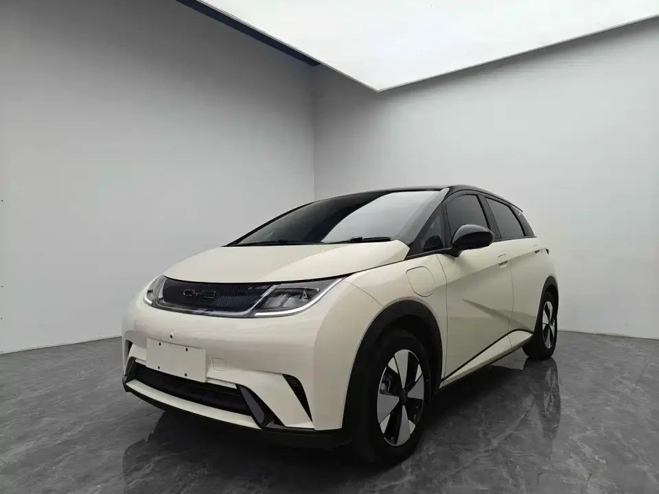 BYD Dolphin Glory Edition 420km Freedom Edition 2024