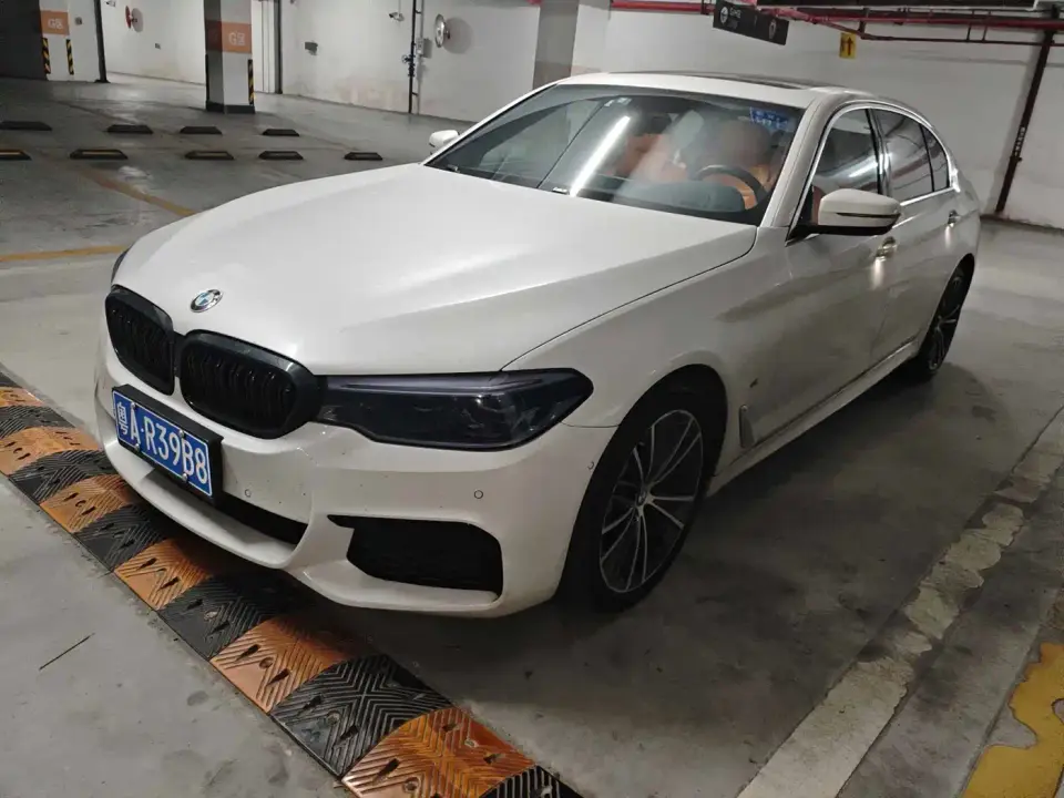 BMW 5 Series 530Li Exclusive M Sport Package 2019