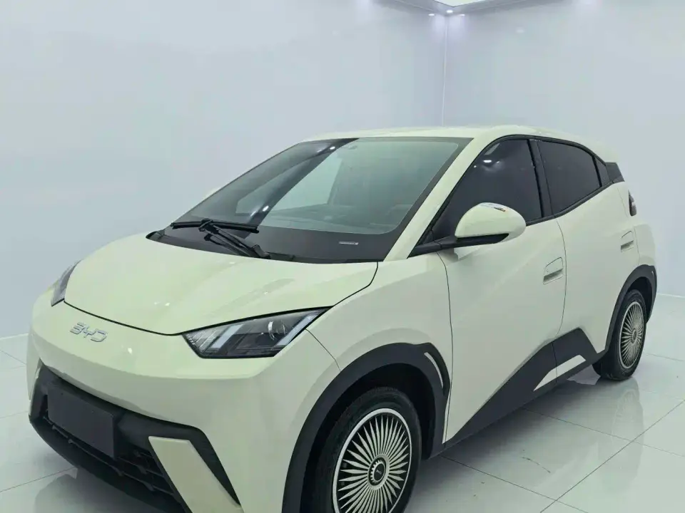 BYD Seagull Glory Edition 305km Vitality Edition 2024