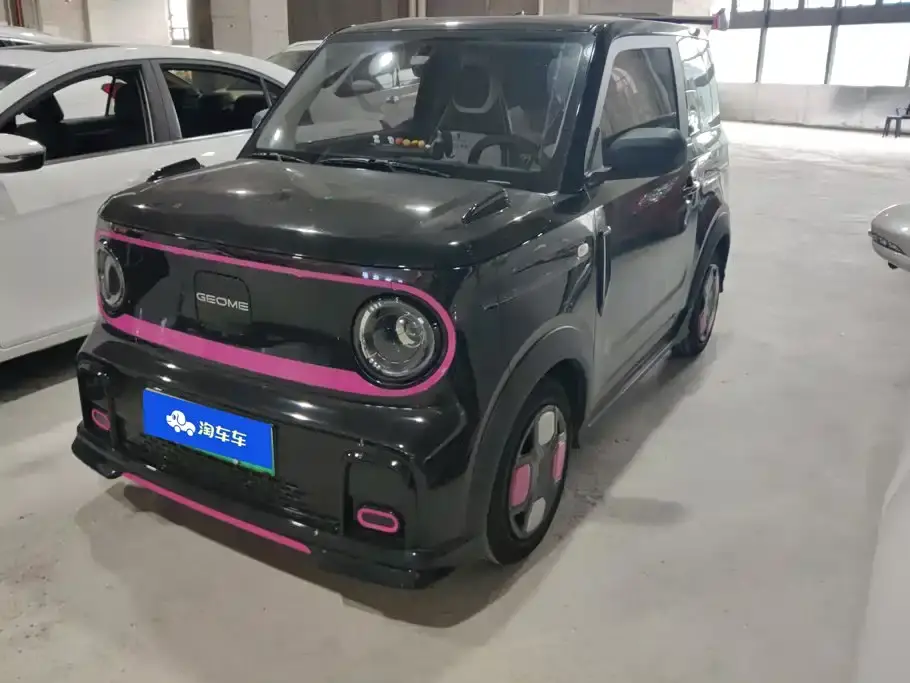 Geely Galaxy Panda Model Year 210km Panda Kart 2026