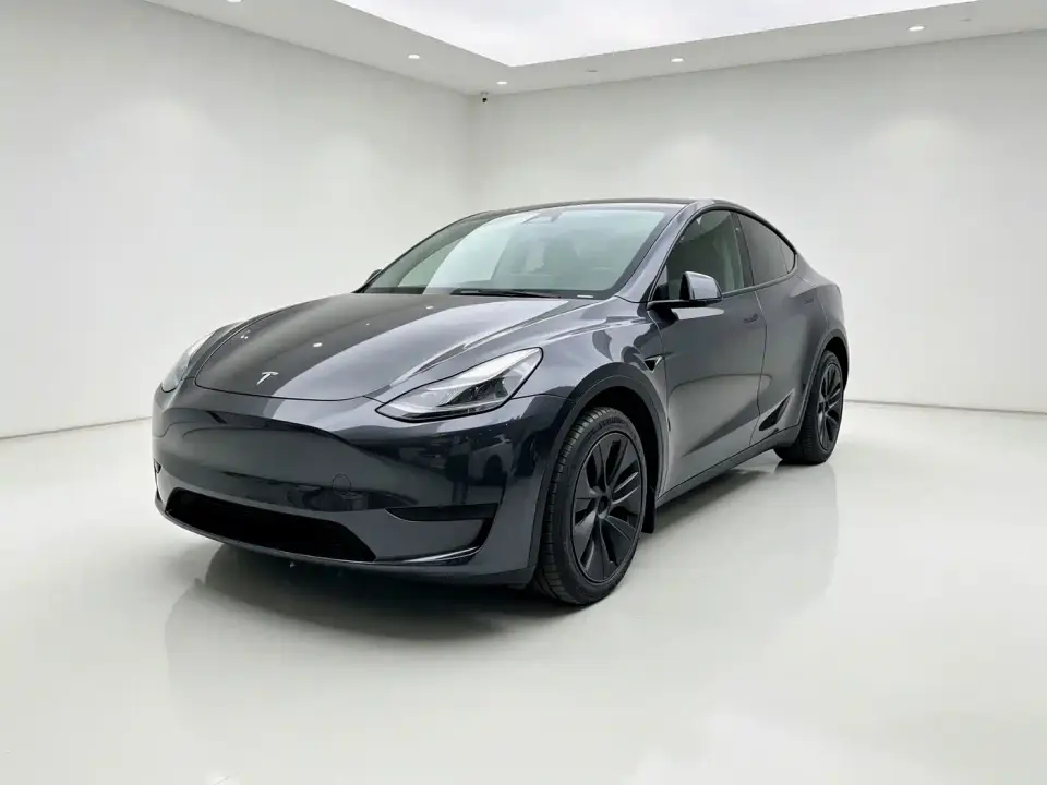 Tesla Model Y Rear-Wheel Drive Version 2024