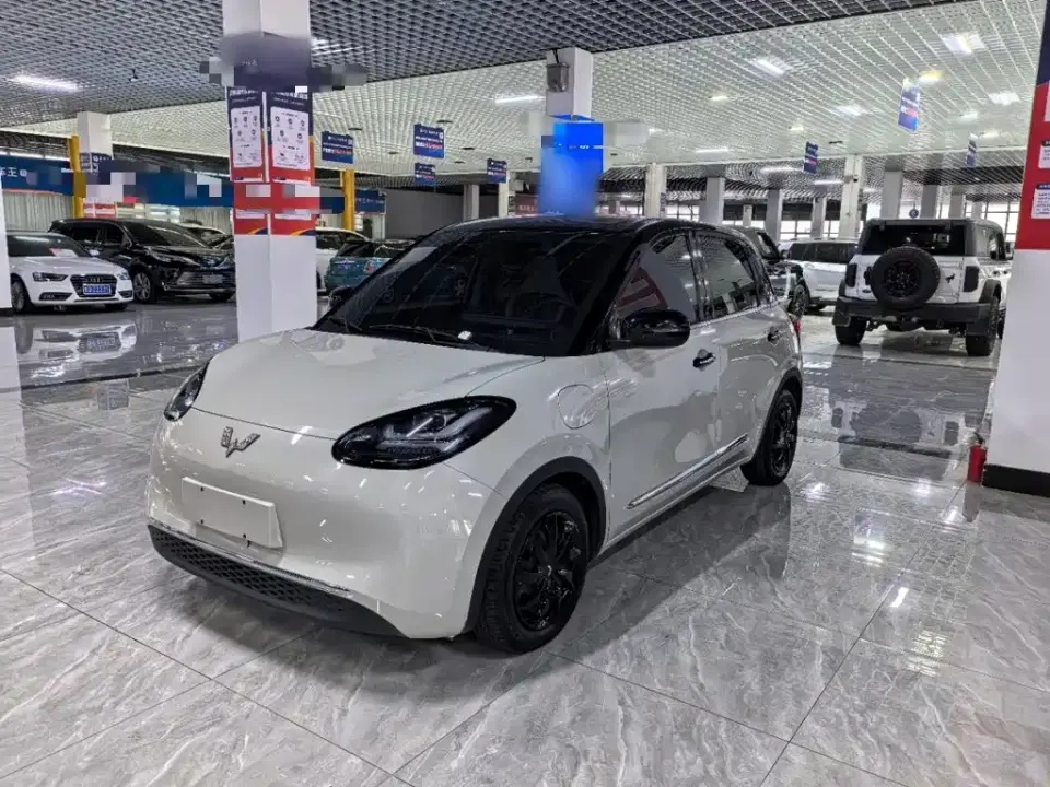 Wuling Motors Wuling Bingo 333km Comfort Edition 2024