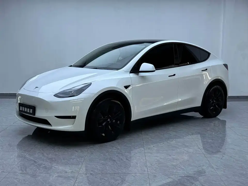 Tesla Model Y Rear-Wheel Drive Version 2022
