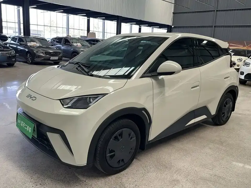 BYD Seagull 305km Vitality 2024