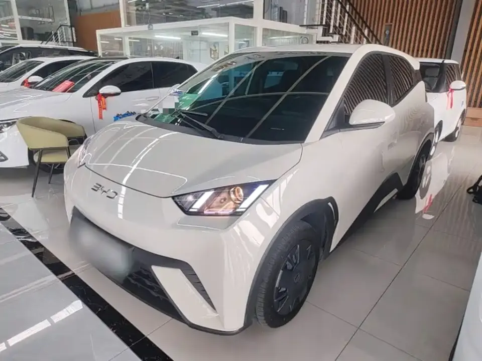 BYD Seagull Glory Edition 305km Vitality Edition 2024