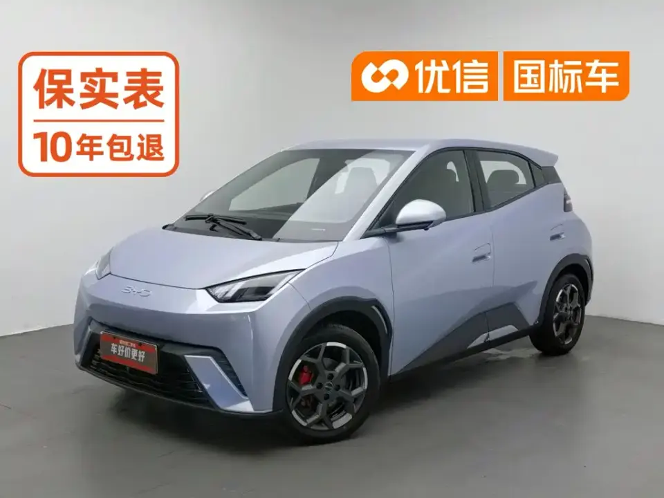 BYD Seagull 305km Freedom 2024