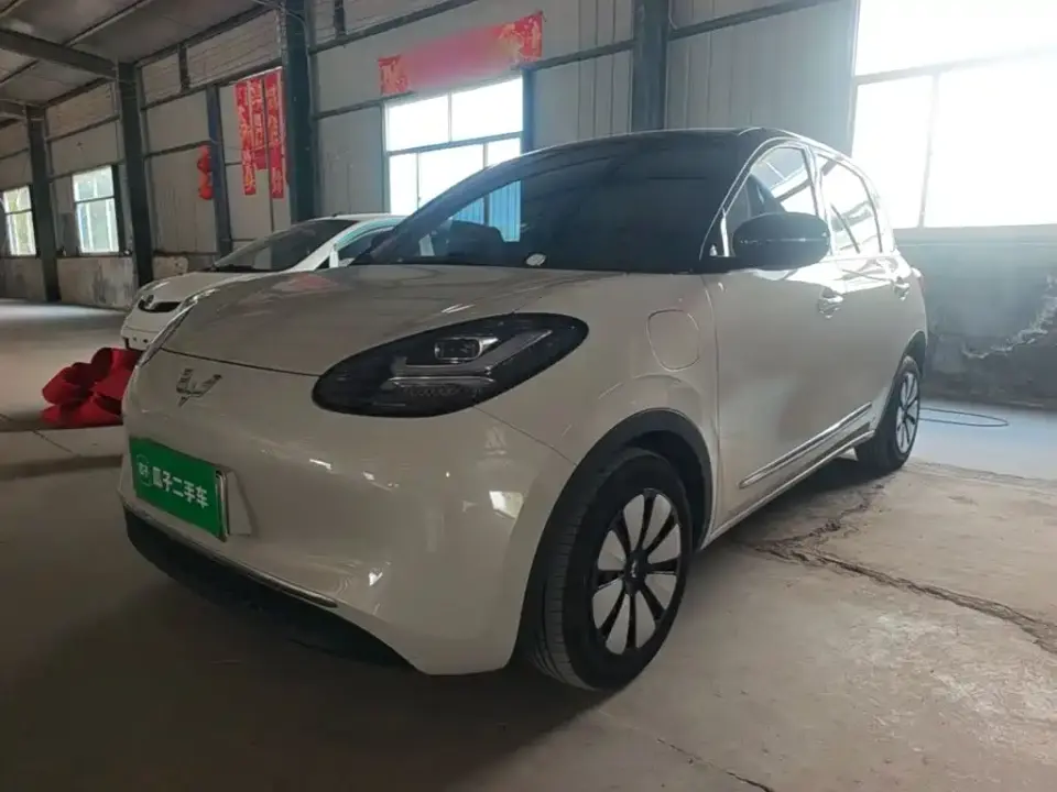 Wuling Motors Wuling Bingo 333km Comfort Edition 2024