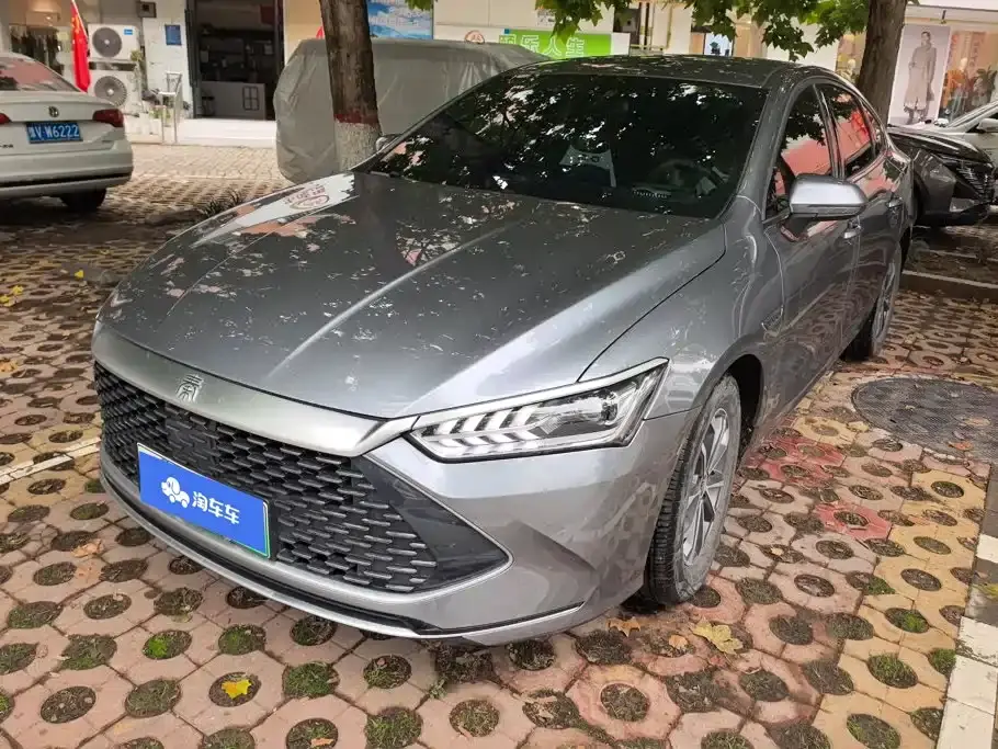 BYD Qin PLUS Glory Edition DM-i 55KM Leading 2024