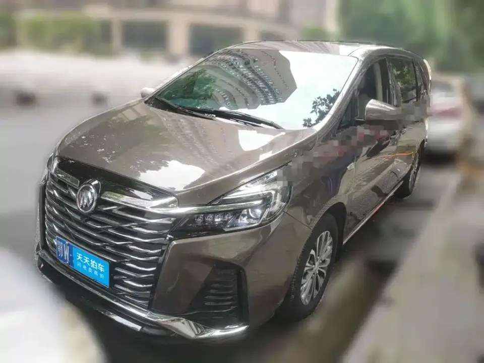 Buick GL8 Land Business Class 652T Luxury 2024