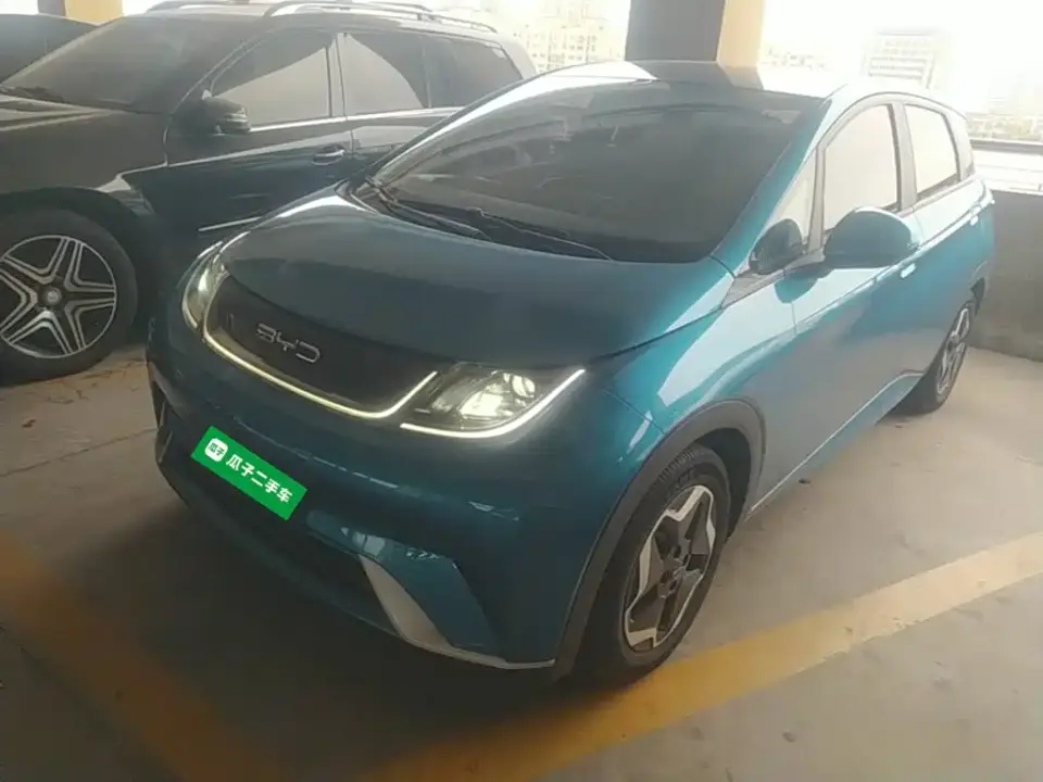 BYD Dolphin Model 405km Fashion Edition 2022