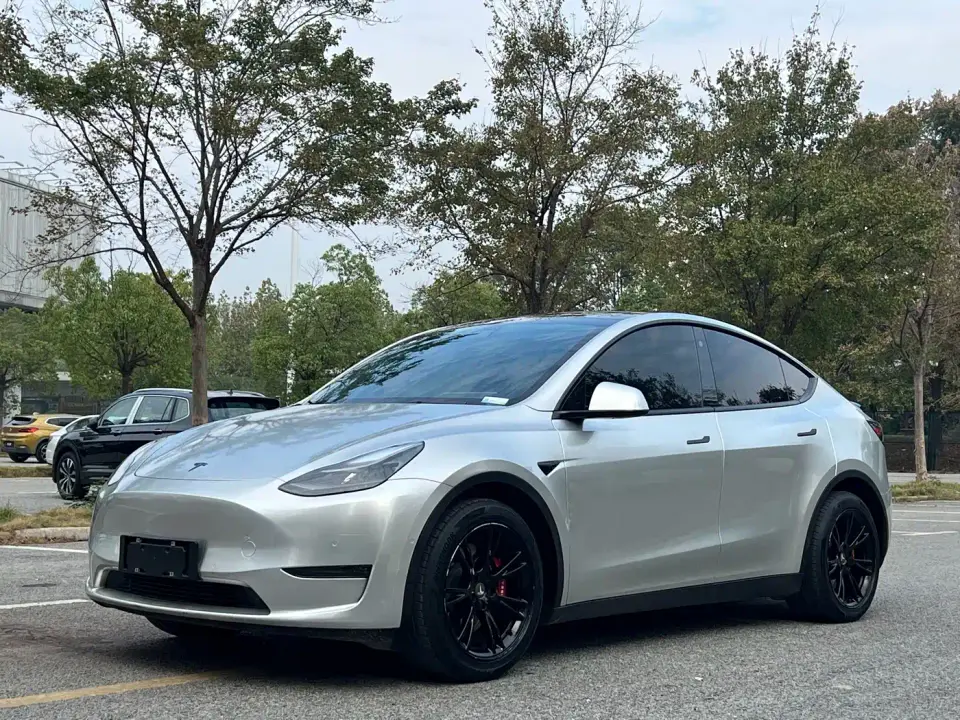 Tesla Model Y Standard Range Rear-Wheel Drive 2021