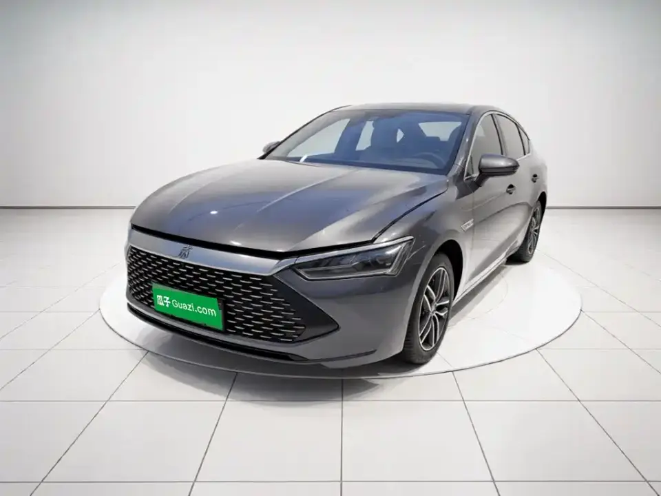 BYD Qin PLUS Champion Edition DM-i 55KM Surpassing 2023
