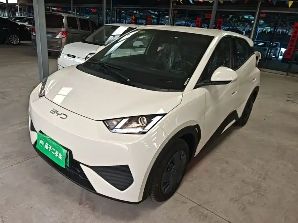 BYD Seagull Smart Drive Edition 305km Vitality Version 2026