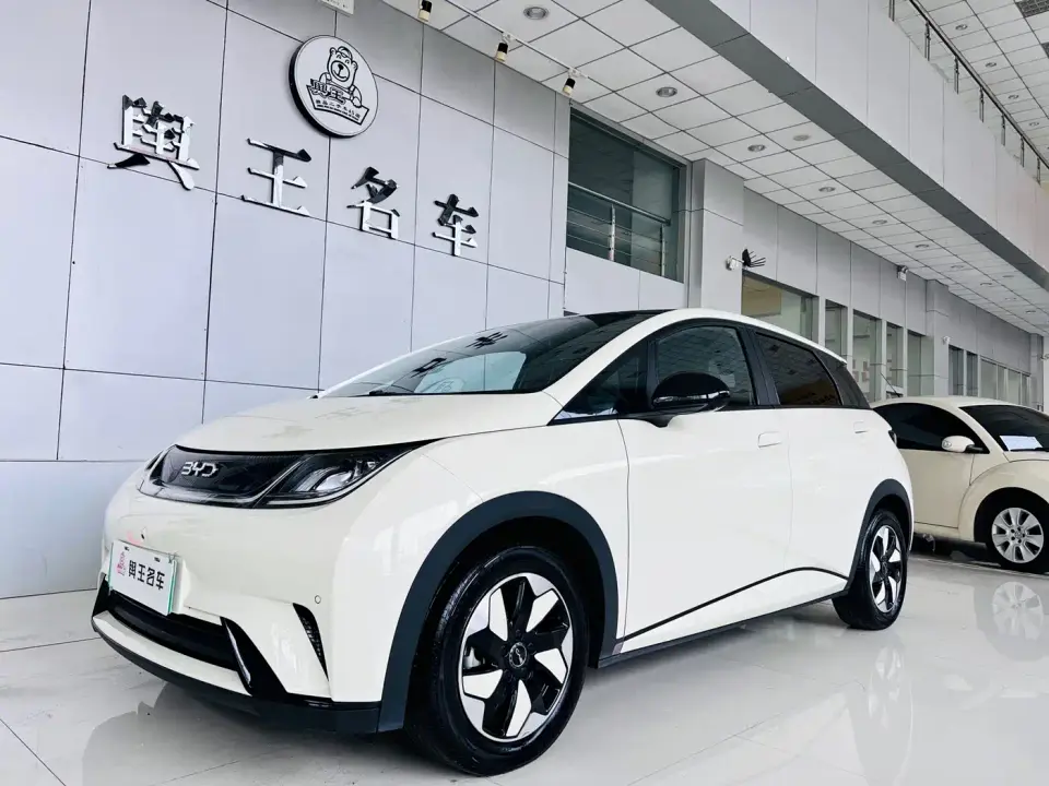 BYD Dolphin Glory Edition 420km Fashion Edition 2024