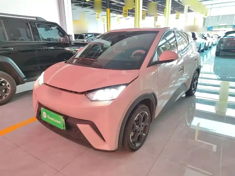 BYD Seagull Glory Edition 405km Soaring Edition 2024