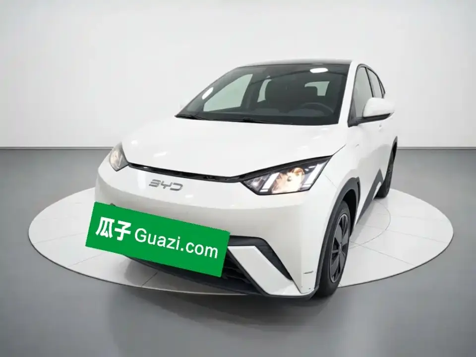 BYD Seagull 305km Vitality 2024