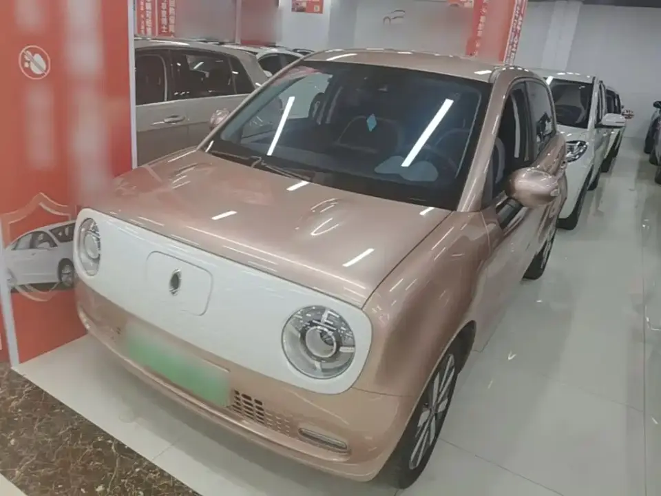 ORA Black Cat 351km Luxury Model 2020