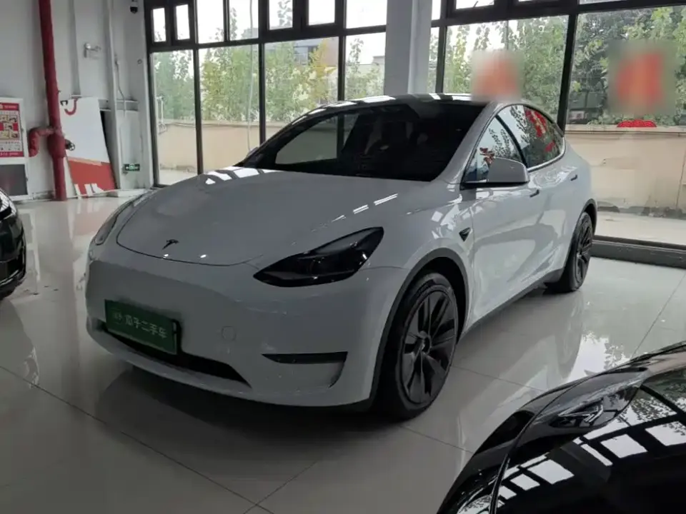 Tesla Model Y Standard Range Rear-Wheel Drive 2021