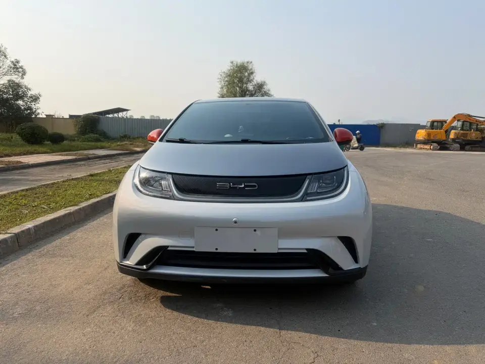BYD Dolphin Model 405km Fashion Edition 2022