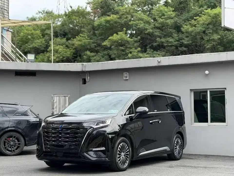 Denza D9 DM-i 1040 Premium 2023