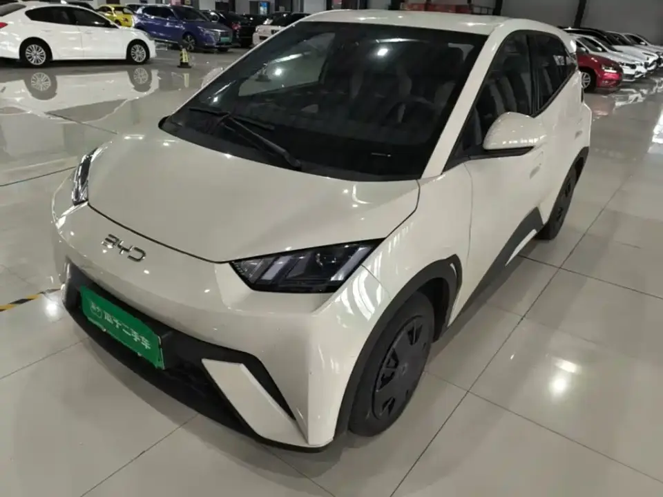 BYD Seagull Glory Edition 305km Vitality Edition 2024