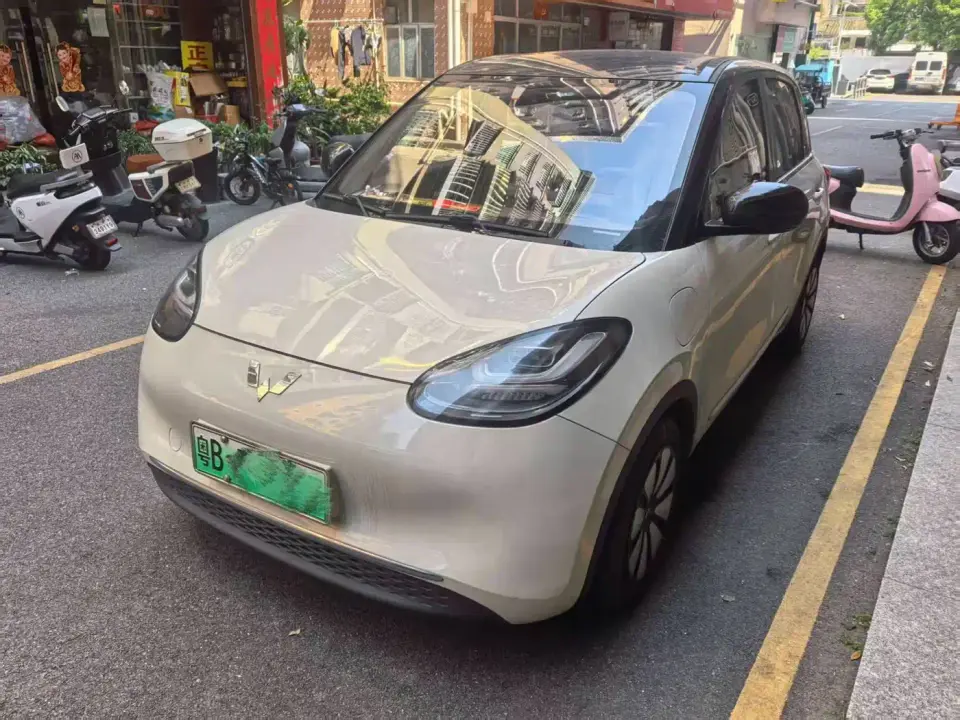 Wuling Motors Wuling Bingo Model 333km Joy+ Version 2024
