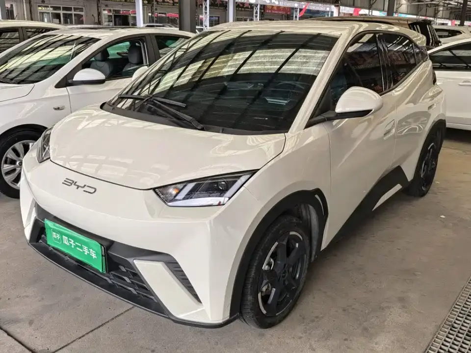 BYD Seagull Freedom Edition 2023
