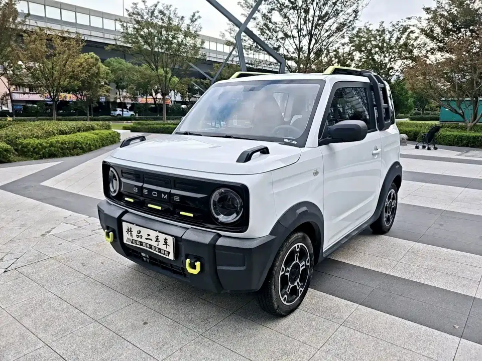 Geely Galaxy Panda 200km Panda Knight 2024