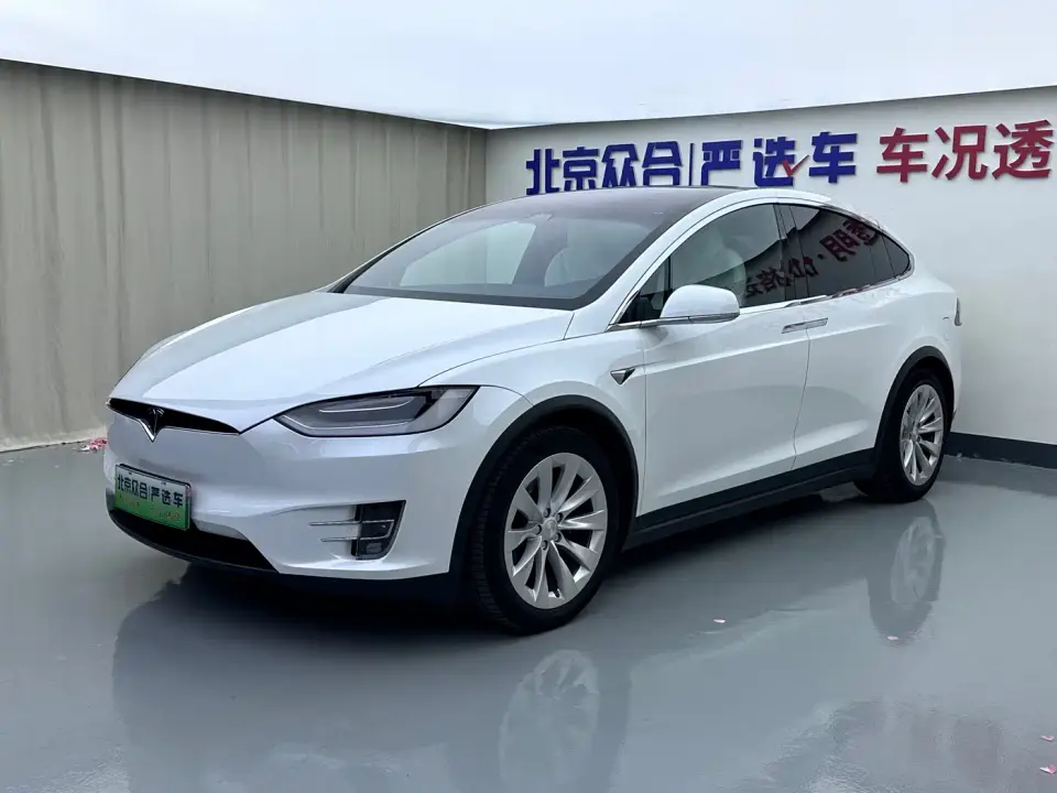 Tesla Model X Model X 100D Long Range 2020