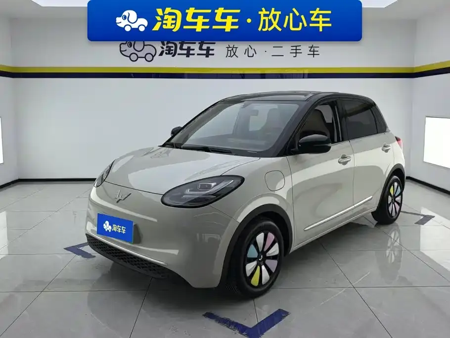 Wuling Motors Wuling Bingo 333km Comfort Edition 2024