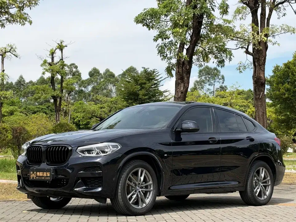 BMW X4 xDrive25i M Sport Package 2020