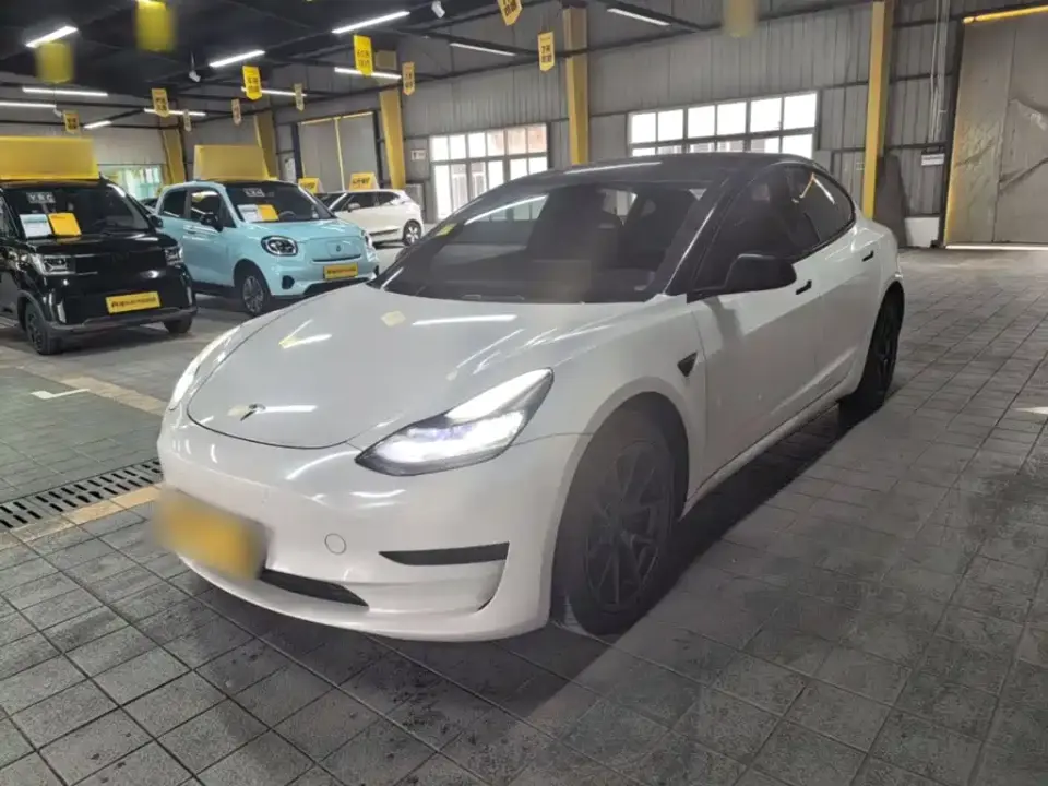 Tesla Model 3 Standard Range Rear-Wheel Drive Upgrade 2021