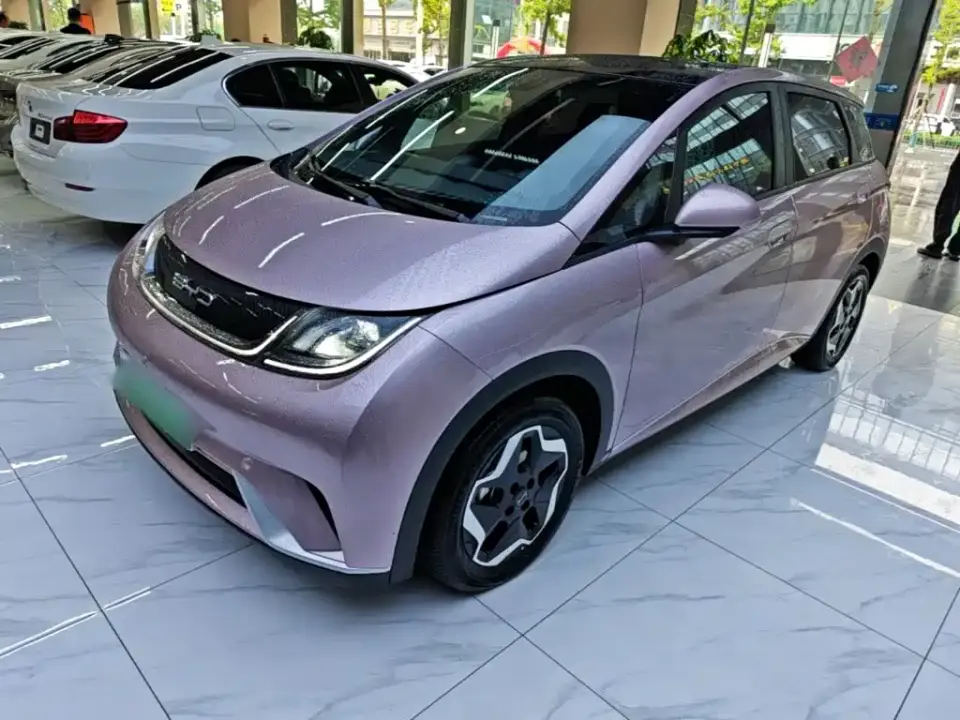 BYD Dolphin Model 405km Fashion Edition 2022
