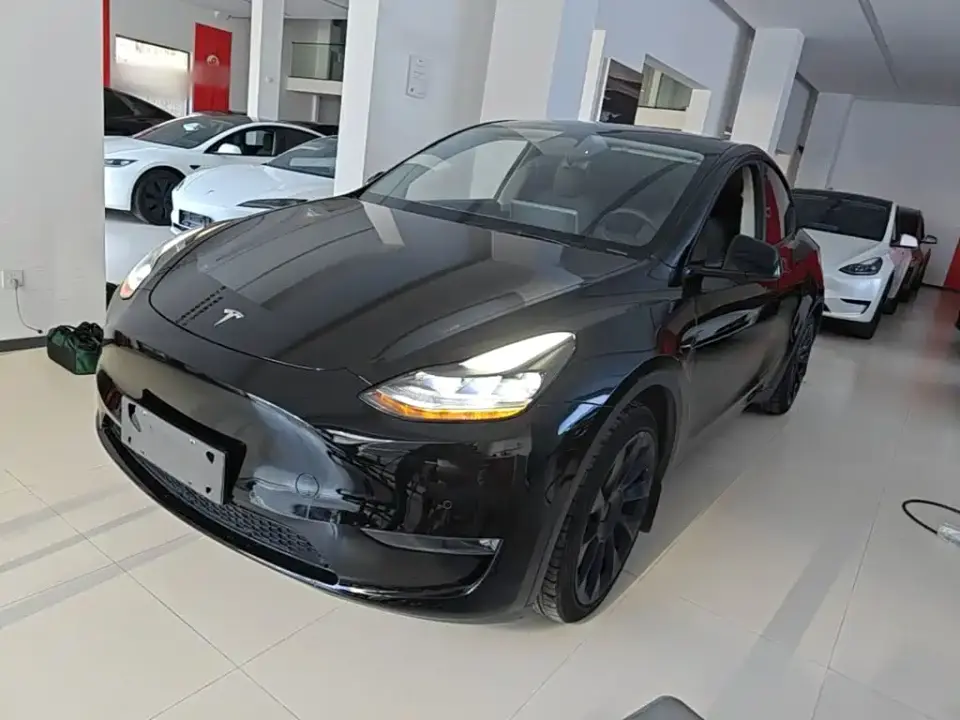 Tesla Model Y Standard Range Rear-Wheel Drive 2021