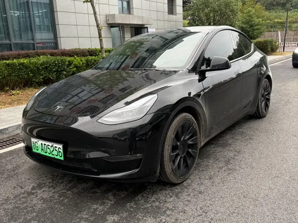 Tesla Model Y Standard Range Rear-Wheel Drive 2021
