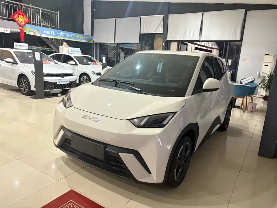 BYD Seagull Flying Edition 2024