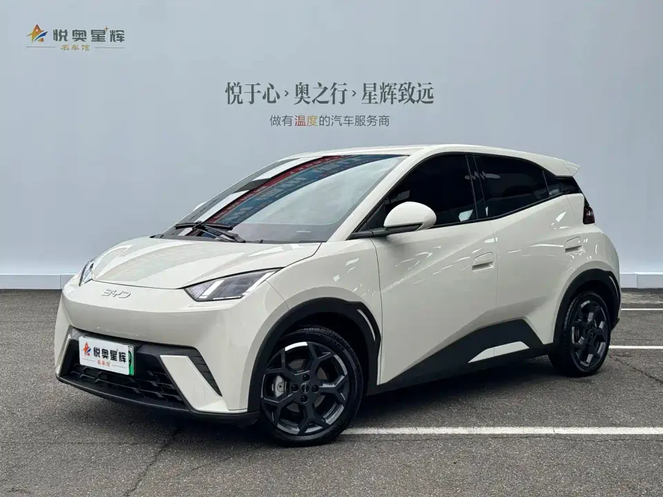 BYD Seagull 305km Freedom 2025