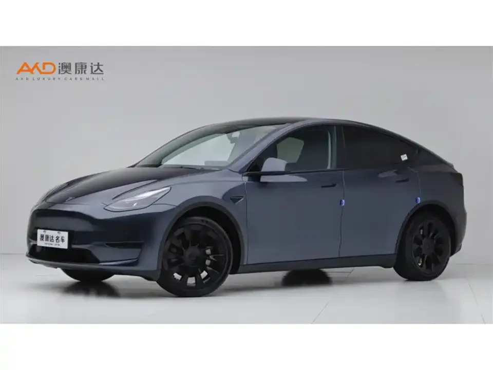 Tesla Model Y Rear-Wheel Drive Version 2022