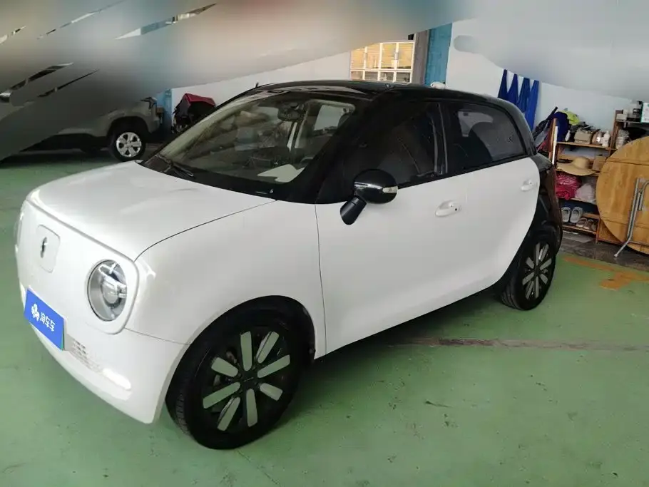 ORA Black Cat 351km Standard Model 2020