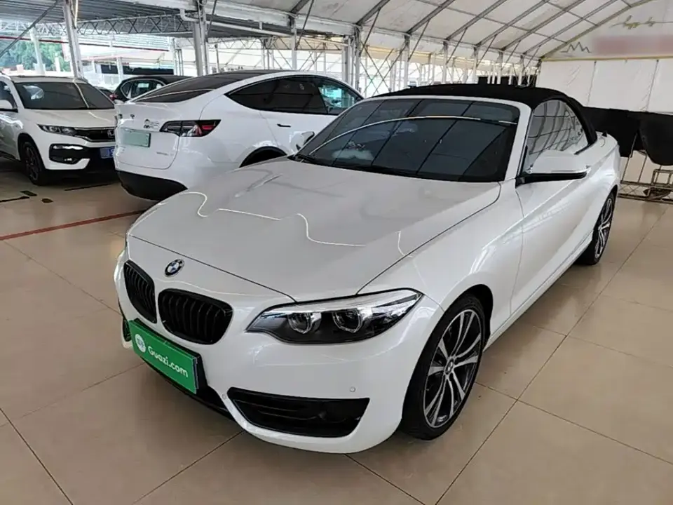 BMW 2 Series (Import) 225i Convertible Coupe Sport Design Package 2020