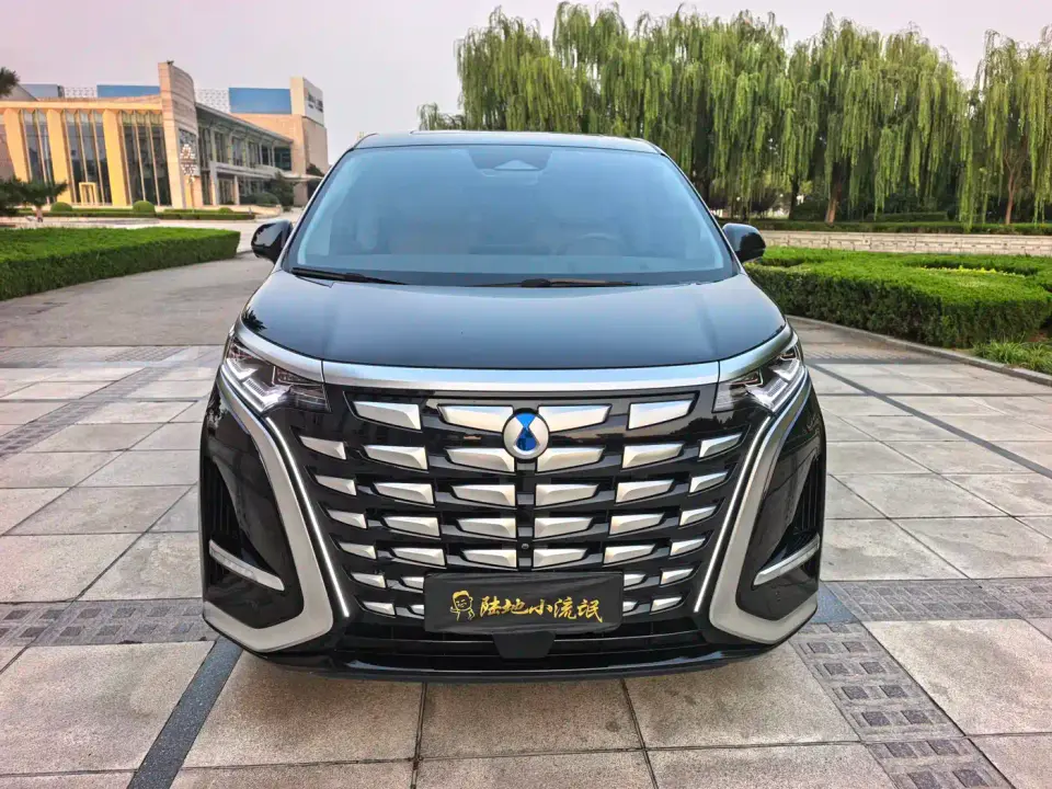 Denza D9 DM-i 970 AWD Flagship 2024