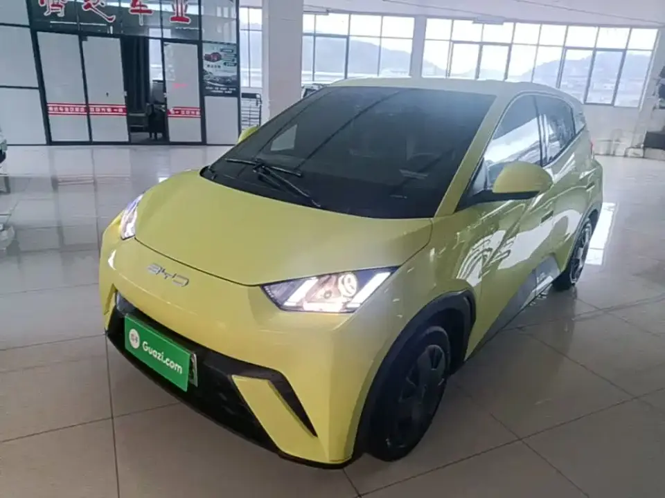 BYD Seagull Glory Edition 305km Vitality Edition 2024